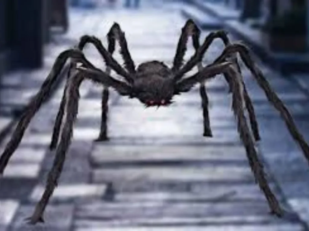 Big Spider Dream Meaning