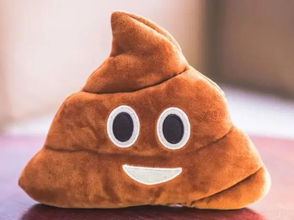 Seeing Poop in Dream Meaning