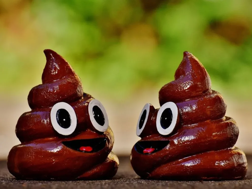 Spiritual Meaning of Poop in a Dream