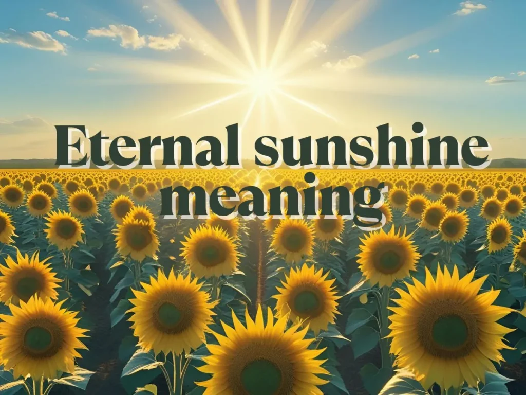 Eternal sunshine meaning