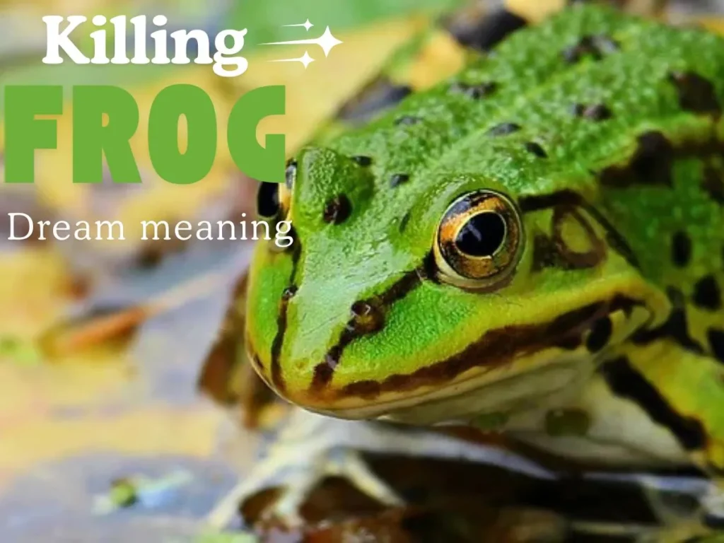 Killing a Frog Dream Meaning