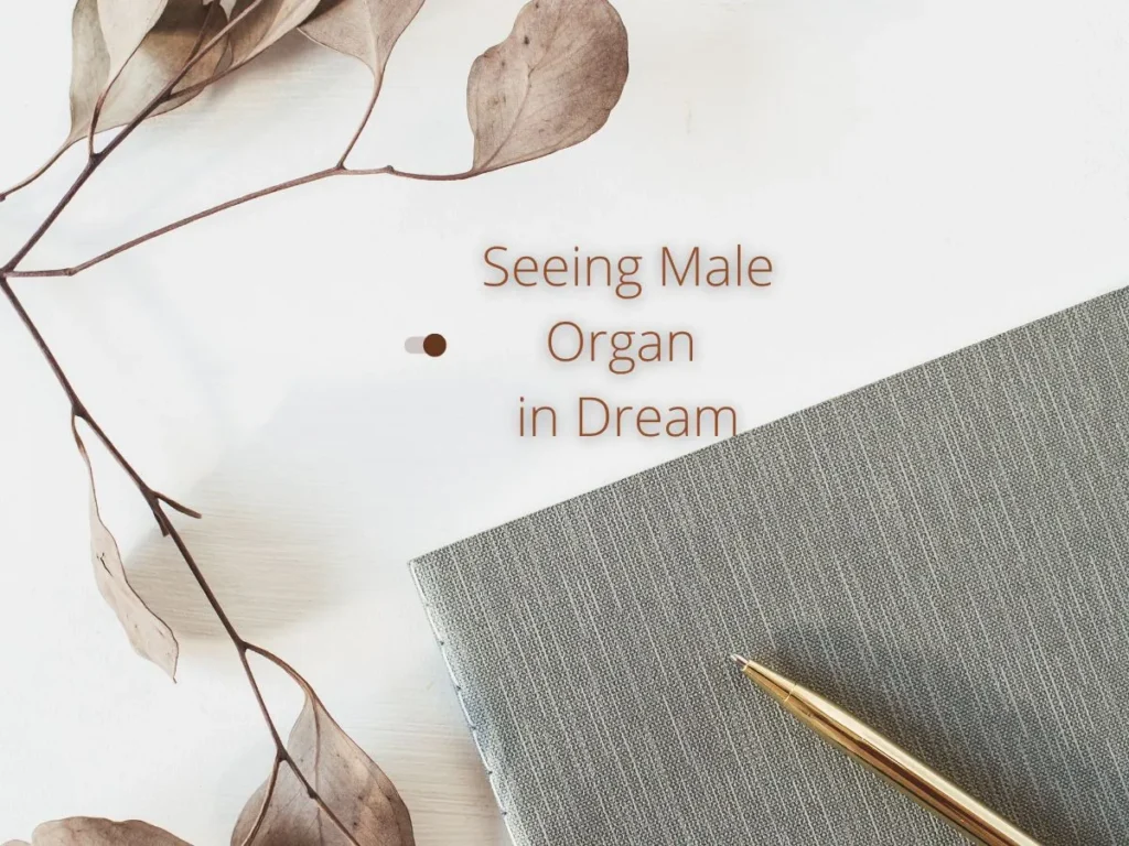 Seeing Male Organ in Dream
