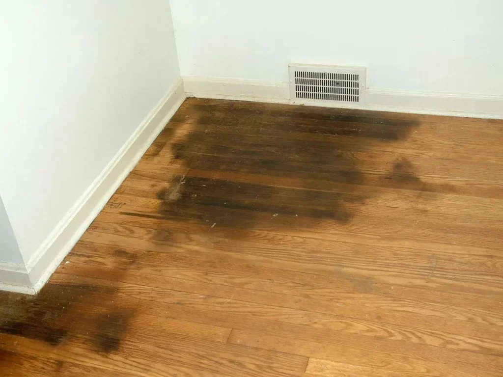 Dream About Urine on the Floor
