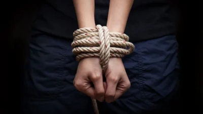 Dreams of Kidnapping