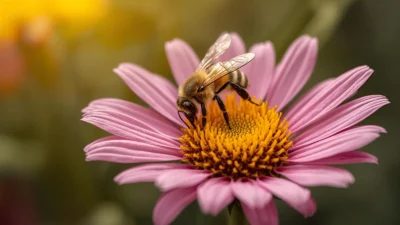 Dreaming About Bees