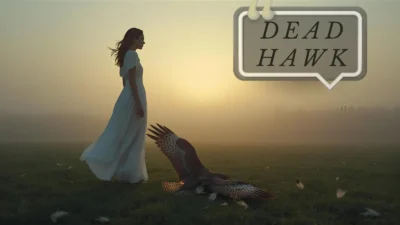 Dead Hawk
