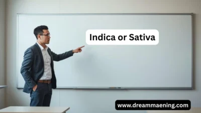Indica or Sativa