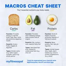 Macros For Weight Loss Female